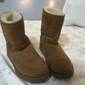 Chestnut colored Uggs
